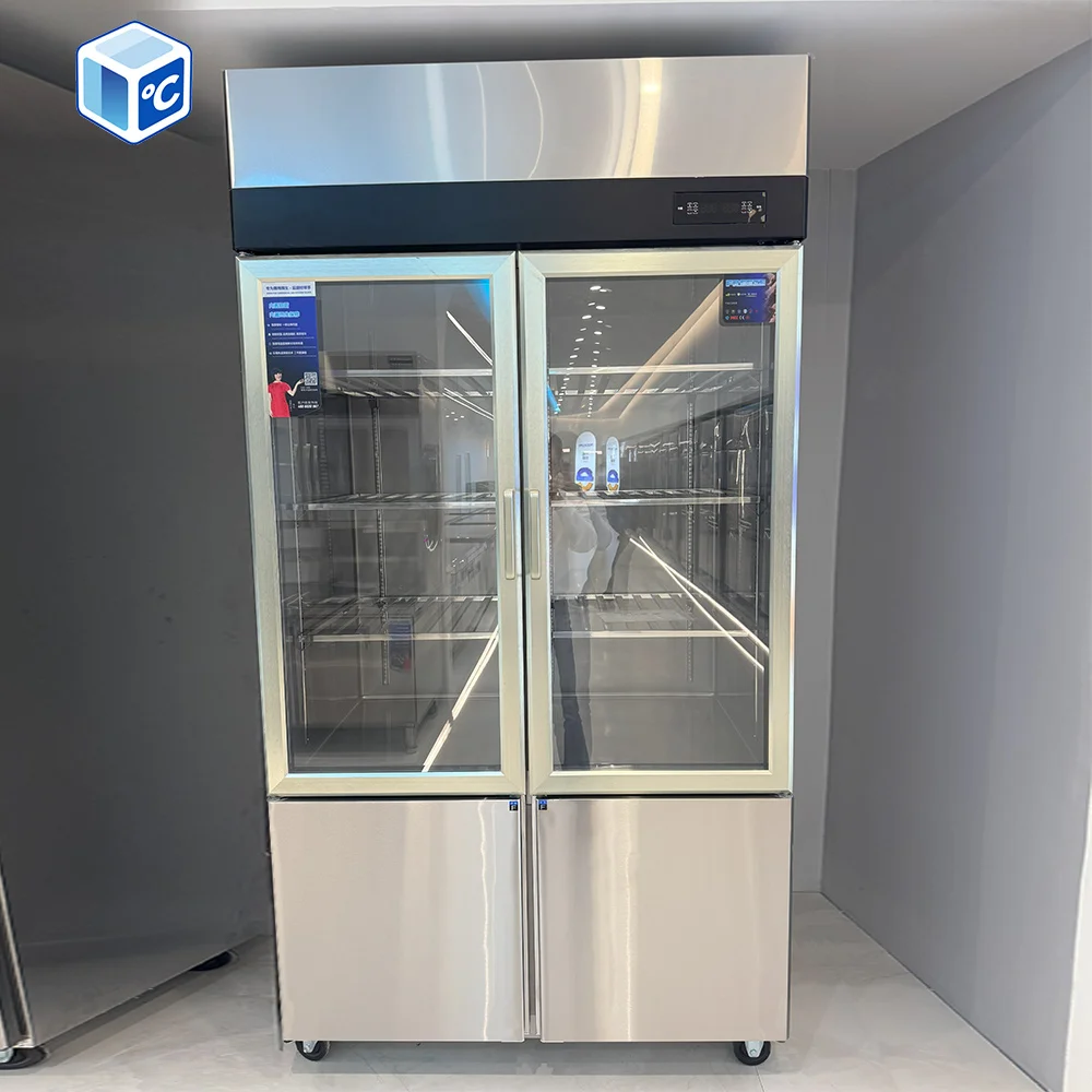 Saving Stainless Steel Freezer, 220 V - detail 46