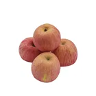 Apple Seeds Chinese Supply Tasty Red Delicious Apple Seeds For Fresh Apple Red Fuji