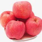 Fuji Apple Fruit Fujiapple Fresh Red Fuji Apple Fruit