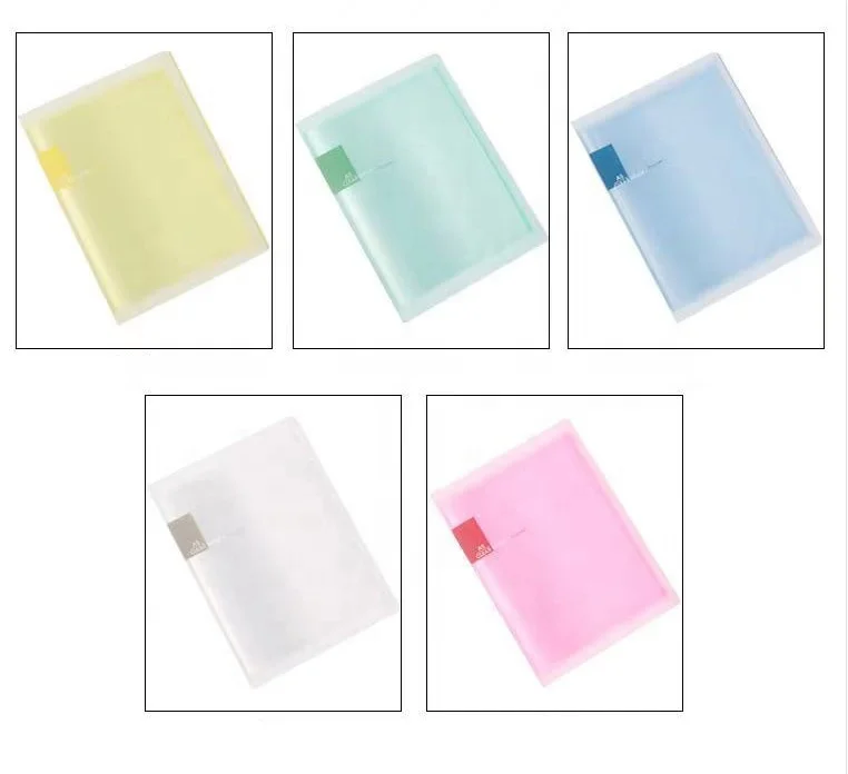 Plastic Clear Display Book Custom Printed Organizer PP B4 A3 Transparent Bag File Folder