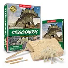 School Stegosaurus Excavation Kit Children Learning Tools School Education Exploring Science