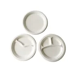 Plate Plates Biodegradable Eco Friendly White 2 Compartment Round Plate 10inch Bagasse Plates