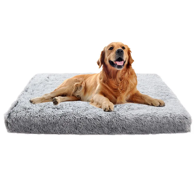 what is the most comfortable dog bed