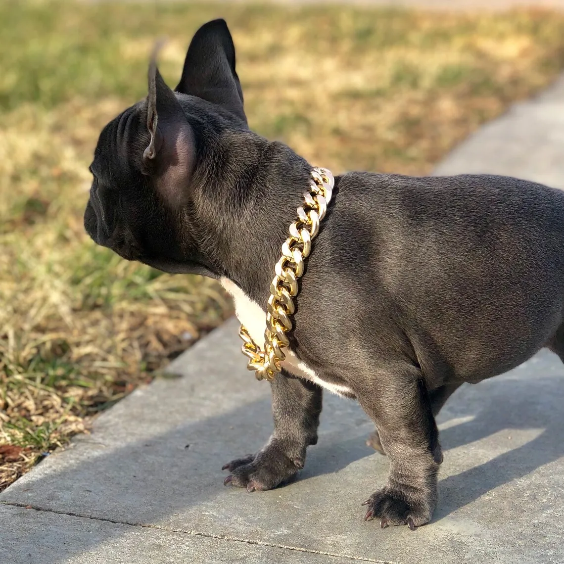 sterling silver dog chain collar