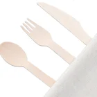 Spoons Ice Cream Spoon 160mm Size Disposable Fork Tasting Spoons Ice Cream Spoon