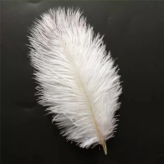 High quality 45-50cm white Large Plume ostrich