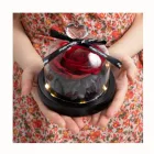 Flower Preserved Rose Eternal Preserved Rose Flower Beauty And The Beast Rose In Glass Dome