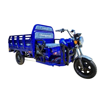 Factory Price blue electric 3 wheeler motorized tricycle moto tricycles 3  cargo cargo electric tricycle electric motorcycles