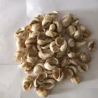 Abalone Custom High Quality Durable Using Various Abalone Conch Sea Shell Supplier