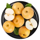 Juicy Pear Pear China In Bulk Hot-selling Juicy Fresh Golden Qiu Yue Pear