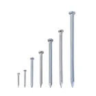 Nails Nails Factory Price Galvanized Flat Head Common Nails Iron Large Electro Galvanized Iron Spike Wire Steel Nails