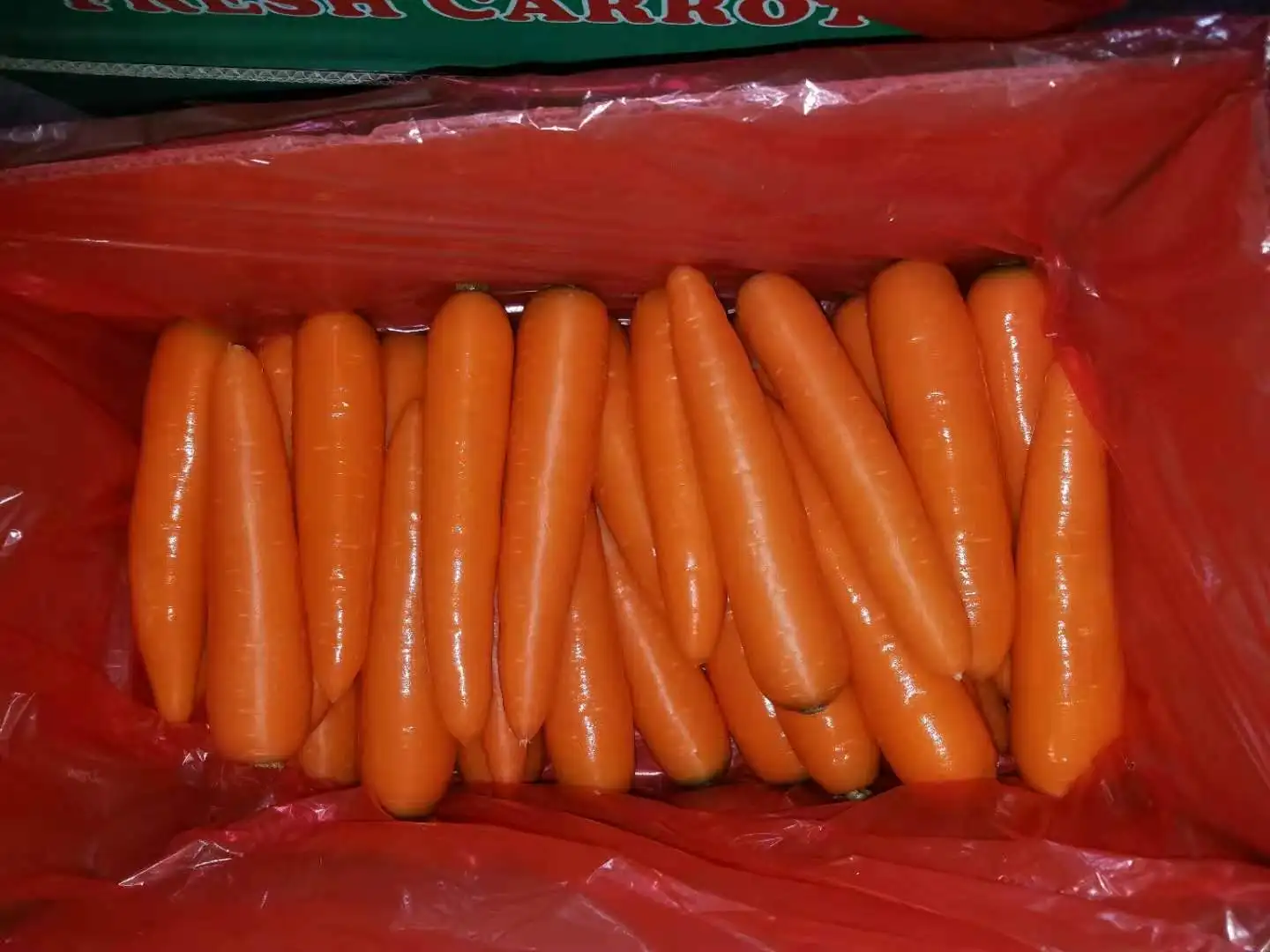 carrot.jpg