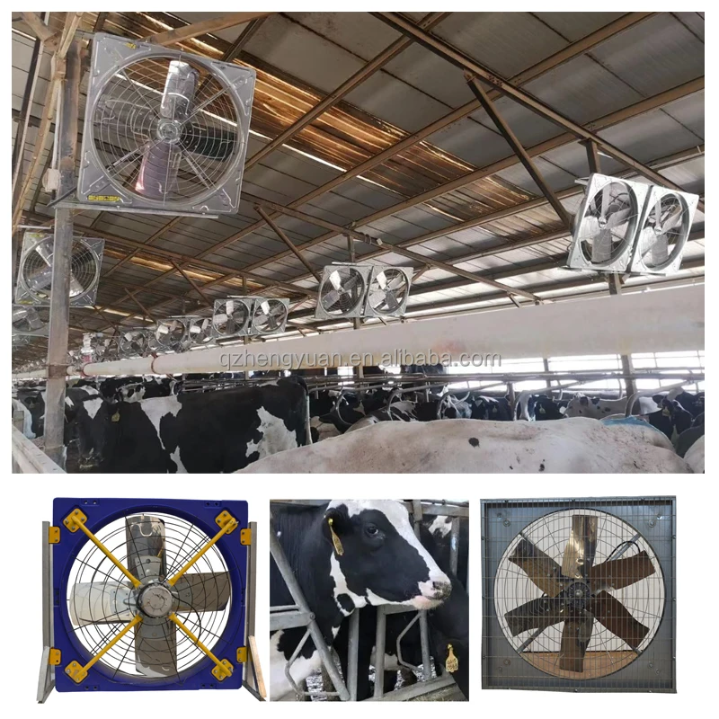 Stainless Steel Centrifugal Fan, 380V, Ceiling - detail 4