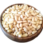 Pine Nut Nuts Pine Nuts Prices Pine Nut Pine Nuts Kernels New Crop Good Quality Natural Healthy