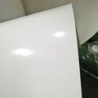 Oil PVC Conveyor Belt Glossy Surface Oil Resistant Food Grade
