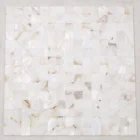 Sea Shell Mosaic Tile Mosaic White Raw Mother Of Pearl Sea Shell Bathroom Splash Back Tile Philippines