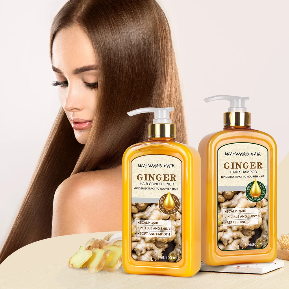 Wholesale Natural Argan Oil Repairing Nourishing Damaged Conditioner organic shampoo herbal ginger castor oil Hair Shampoo