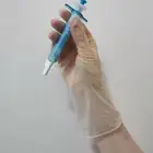Exam Vinyl Gloves Vinyl Gloves Medical Powder Free Food Grade Exam PVC Vinyl Gloves