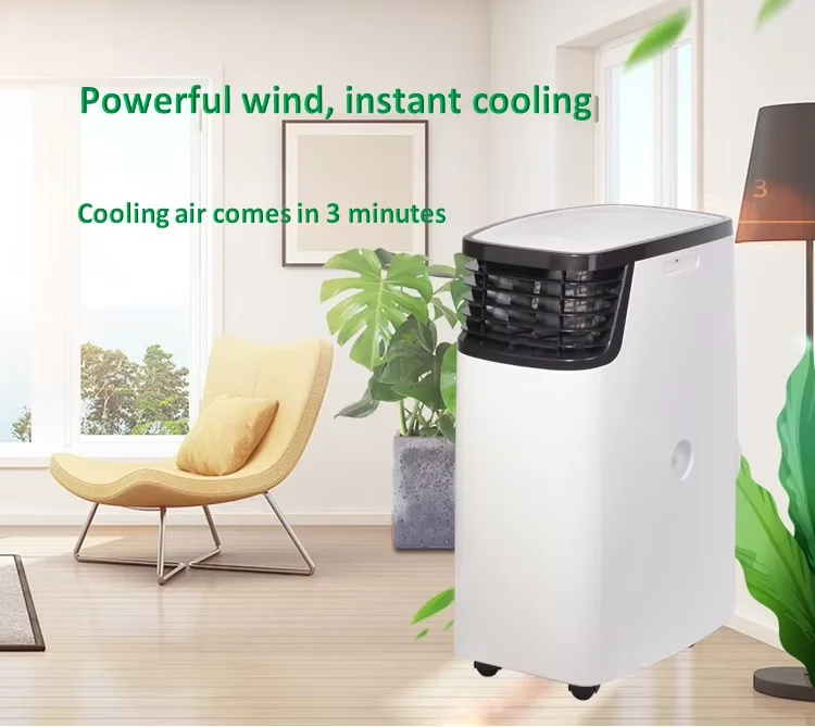 Portable Small Air Conditioner, 14000, R290 - detail 10
