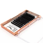 Your Lashes Make Your Own Brand Free Sample Auto Fan Eyelash Extension Lashes