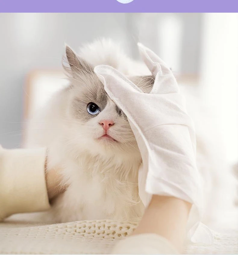 Customized No-bath Gloves for Cats and Dogs Disposable Deodorizing Pet Cleaning and Beauty Products Pet Products details