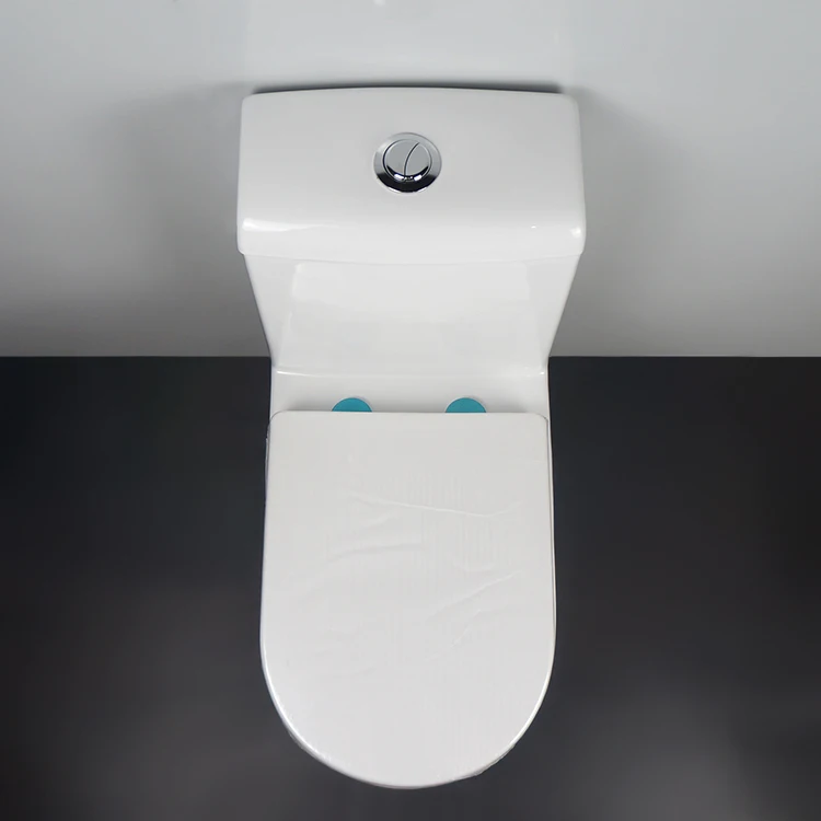 TARPUL Sanitary Ware Restroom Loo Water Closet WC Ceramic One Piece Floor Mounted Bathroom Wash Down Toilet manufacture