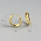Hoop Earrings Earrings Thick Hoop Earrings 925 Sterling Silver Thick Hoop Earrings For Women