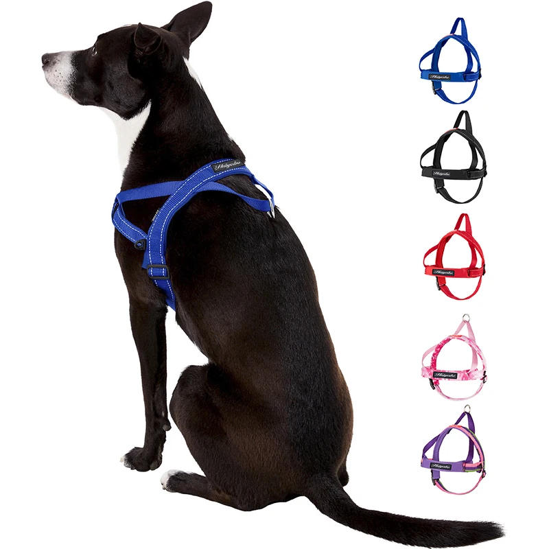 Where Does A Dog Step In Harness Clip