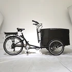 Trike Cargo Electric Bike UB-9040E Electric Tricycle Cargo Bike With 2 Front Wheel Family Bike Bicycle Trike