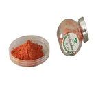 Pure Natural Pinus Pinaster Extract Pine Bark Extract Powder Pine Bark Extract95% Proanthocyanidins OPC95%