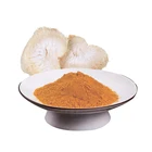 Herb Pure Herb Extract Lions Mane Extract Powder