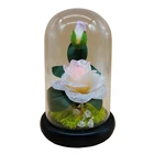 Day Hot Sale 2020 Gift Flower Ro Valentine's Day Everlasting Rosas Preserved Rose In Glass Dome
