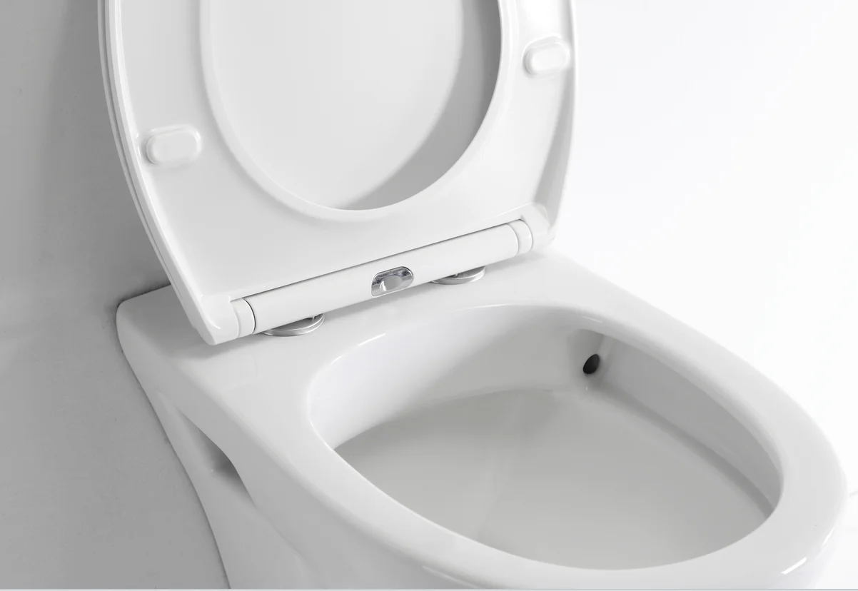 hygienic wall mounted toilet hygienic wall mounted toilet