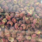 Red Redred Hotpot Best Partner Red Chinese Pepper Natural Raw Materials Full Of Numbness Felling New