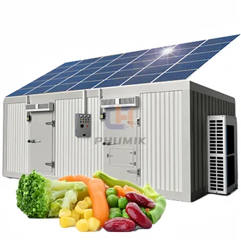 20ft 40ft Solar Powered Cold Storage Container Refrigeration Unit Price Walk In Freezer Blast Solar Cold Room For Meat Fish