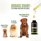 Drops Hemp Oil For Dogs And Cats Hemp Oil Drops With Omega Fatty Acids Hip And Joint Support And Skin Health