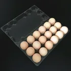 Pvc Egg Customized Pvc 12 Cell Disposable Blister Plastic Clamshell Egg Packaging Tray/box