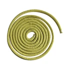 Stable seals pure ptfe aramid packing gland for a long period of time