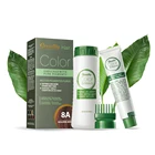 Color Cream Cream Hair Dye Cream Customized Private Label Natural Organic Blonde Hair Color Dye Cream