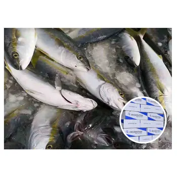 Organic Seafood Japan Buyer Tuna Market Wholesale Sea Food Freezer Frozen Yellow Tail Fish