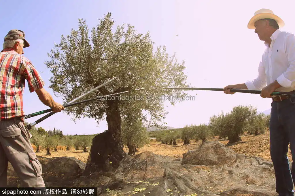 product 4mm 45mm 5mm 55mm 6mm pultruded carbon fiber solid rods for electric olive harvester rakes-3