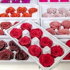 Flower Wholesale Real Touch Long Life Stabilized Dried Forever Flower Head Bud Eternal Preserved Rose