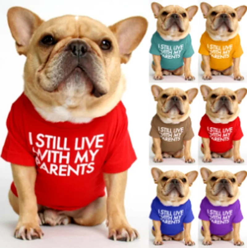 Dougez Summer Cute Pet Dog Clothes Thin T-shirt Cotton Dog Clothes Pet Clothes Teddy Wearing Vest supplier