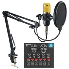 Audio Card Hot Sale Professional Audio V8 Sound Card Set BM800 Interview Recording Microphone