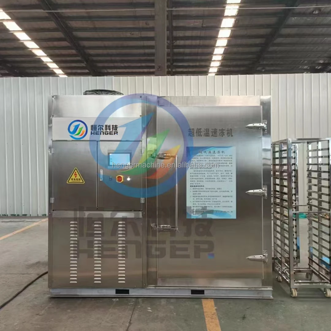 Blast Freezer, 380V - detail 6