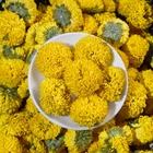 Tea Chrysanthemum Flowers 0 Additives 100% Natural Pure Herbal Tea Yellow Chrysanthemum Flowers Tea