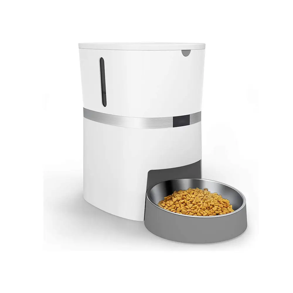 Best Automatic Cat Feeders 2023 - Forbes Vetted