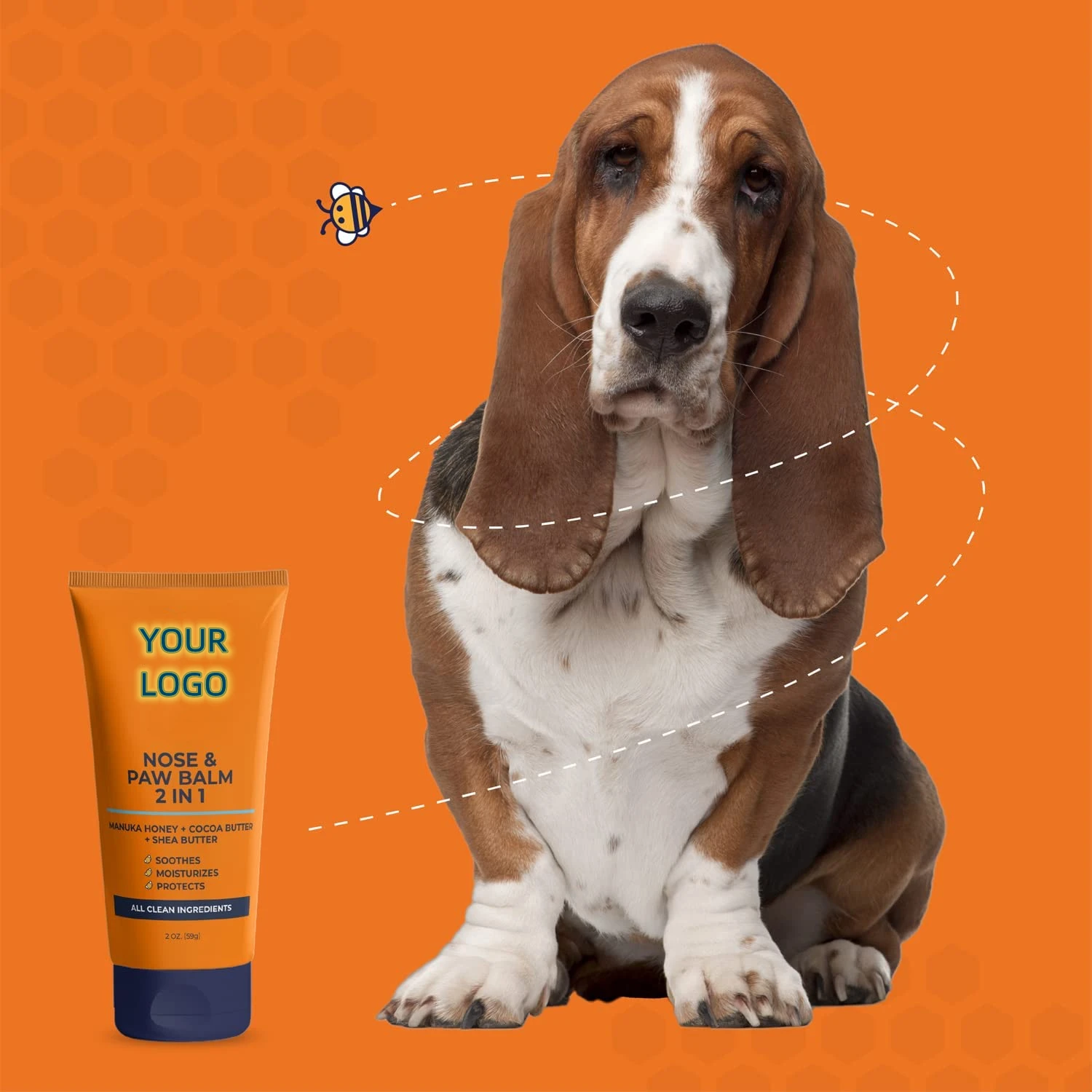 How To Treat Dogs Rough Paws