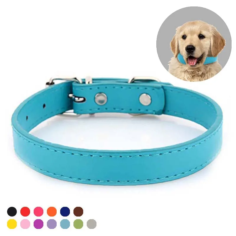 What Is A Flat Dog Collar