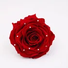 Roses Rose 1 Pcs/box A Grade 9-10cm Wholesale Beauty Eternal Roses Flower Lasting Long Preserved Rose Flowers